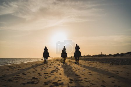 Foto de Silueta de personas a caballo en la playa al atardecer - Imagen libre de derechos