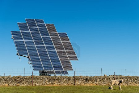 Foto de Paneles solares de energía fotovoltaica en un prado verde donde las ovejas pastan con sus crías - Imagen libre de derechos