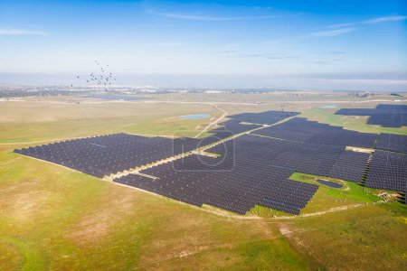 Foto de Foto aérea de gran angular de la planta de energía solar fotovoltaica bajo el cielo azul en el día soleado brillante con bandada de aves - Imagen libre de derechos