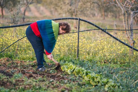Foto de Mujer mayor rural en vestido local trabajando en el jardín - Imagen libre de derechos
