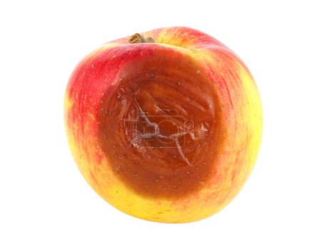 Manzana podrida aislada sobre un fondo blanco