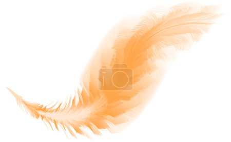 Téléchargez les illustrations : Plume, oiseau, plume d'oiseau, logo - en licence libre de droit