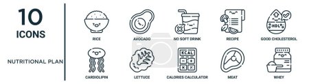Ilustración de Conjunto de iconos de esquema nutricional como arroz de línea fina, sin refrescos, colesterol bueno, lechuga, carne, suero de leche, iconos de cardiolipina para el informe, presentación, diagrama, diseño web - Imagen libre de derechos