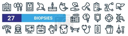set of 27 outline web biopsies icons such as hospital, kidney, clipboard, bone, brain, doctor, bed, biopsy vector thin line icons for web design, mobile app.