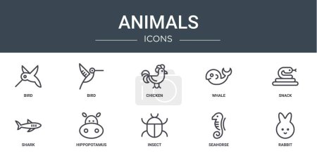 Photo for Set of 10 outline web animals icons such as bird, bird, chicken, whale, snack, shark, hippopotamus vector icons for report, presentation, diagram, web design, mobile app - Royalty Free Image