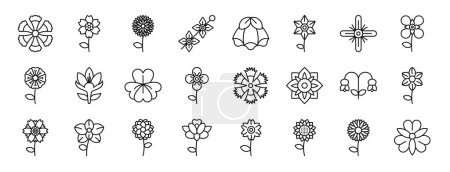 Set von 24 umrissenen Webblumen-Symbolen wie Fransendianthus, Alpenvergissmeinnicht, Chrysantheme, Delphinium, Erbse, Gladiole, Knoblauch-Senf-Vektorsymbole für Bericht, Präsentation, Diagramm, Web