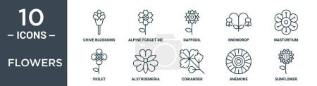 flowers outline icon set includes thin line chive blossoms, alpine forget me not, daffodil, snowdrop, nasturtium, violet, alstroemeria icons for report, presentation, diagram, web design
