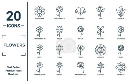 Photo for Flowers linear icon set. includes thin line nasturtium, alpine forget me not, poppy, cherry blossom, amaryllis, dahlia, daisy icons for report, presentation, diagram, web design - Royalty Free Image