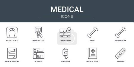 conjunto de 10 iconos médicos web esquema tales como la escala de peso, prueba de diabetes, cardiograma, hueso, hueso roto, historial médico, iconos de vectores hospitalarios para el informe, presentación, diagrama, diseño web, móvil