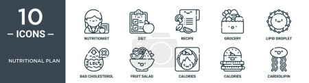 nutritional plan outline icon set includes thin line nutritionist, diet, recipe, grocery, lipid droplet, bad cholesterol, fruit salad icons for report, presentation, diagram, web design