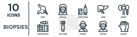 Téléchargez les illustrations : Ensemble d'icônes de contour de biopsies telles que poêle à ligne mince, anesthésie, rein, éprouvette, médecin, gants, icônes de biopsie tissulaire pour rapport, présentation, diagramme, conception Web - en licence libre de droit