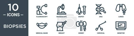 Téléchargez les illustrations : Jeu d'icônes de contour de biopsies comprend fluoroscopie à ligne mince, microscope, biopsie, ADN, poumons, masque médical, icônes du sein pour rapport, présentation, diagramme, conception Web - en licence libre de droit