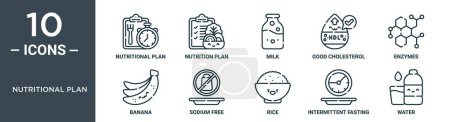 Illustration for Nutritional plan outline icon set includes thin line nutritional plan, nutrition plan, milk, good cholesterol, enzymes, banana, sodium free icons for report, presentation, diagram, web design - Royalty Free Image