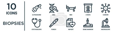 biopsies outline icon set such as thin line ultrasound, bed, cancer, punch, bone marrow, microscope, stethoscope icons for report, presentation, diagram, web design
