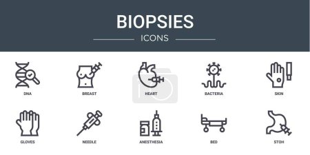 Téléchargez les illustrations : Jeu de 10 icônes de biopsies Web telles que l'ADN, le sein, le cœur, les bactéries, la peau, les gants, les icônes vectorielles d'aiguille pour le rapport, la présentation, le diagramme, la conception Web, l'application mobile - en licence libre de droit