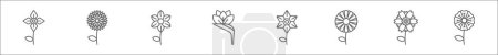 Ilustración de Esquema conjunto de flores línea iconos. iconos vectoriales lineales como rúcula, crisantemo, freesia, ave del paraíso, gladiolo, astro, peonía, geranio - Imagen libre de derechos