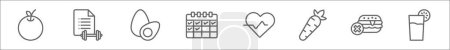 Ilustración de Esquema conjunto de iconos de línea de dieta. iconos vectoriales lineales como naranjas, mancuerna, huevos, horario, corazón, zanahoria, sin hamburguesa, bebida - Imagen libre de derechos