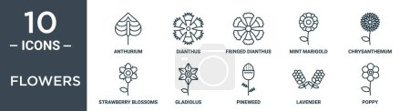 Illustration for Flowers outline icon set includes thin line anthurium, dianthus, fringed dianthus, mint marigold, chrysanthemum, strawberry blossoms, gladiolus icons for report, presentation, diagram, web design - Royalty Free Image