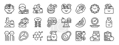 Satz von 24 umrissenen Web-Ernährungsplan-Symbole wie Obstsalat, Ernährungsberater, Nährstoffe, gutes Cholesterin, Salat, Salat, Fetttröpfchen-Vektorsymbole für Bericht, Präsentation, Diagramm, Webdesign,