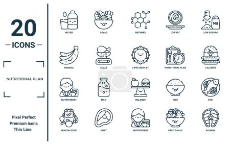 Ernährungsplan linearen Symbolsatz. Enthält Dünnwasser, Banane, Ernährungsberater, gesunde Nahrung, Lachs, Fetttröpfchen, Fisch-Symbole für Bericht, Präsentation, Diagramm, Webdesign