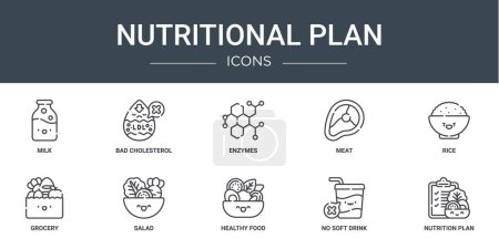 10 umrissene Web-Ernährungsplan-Symbole wie Milch, schlechtes Cholesterin, Enzyme, Fleisch, Reis, Lebensmittel, Salatvektorsymbole für Bericht, Präsentation, Diagramm, Webdesign, mobile App