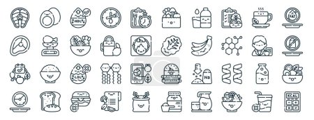 Set von 40 Umrissen Web-Ernährungsplan Symbole wie gekochtes Ei, Fleisch, gesunde Ernährung, intermittierendes Fasten, Ernährungsberater, fettarme, Lebensmittel-Symbole für Bericht, Präsentation, Diagramm, Web-Design, mobile