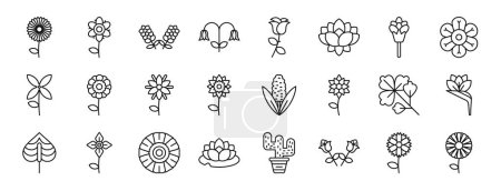 ensemble de 24 icônes de fleurs de toile de contour telles que le pissenlit, les fleurs de fraise, la lavande, la cloche bleue, la rose, la fleur de lotus, les icônes vectorielles de fleurs de cèdre pour le rapport, la présentation, le diagramme, la conception Web, le mobile
