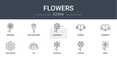 Illustration for Set of 10 outline web flowers icons such as geranium, chive blossoms, chamomile, bluebell, snowdrop, nasturtium, lily vector icons for report, presentation, diagram, web design, mobile app - Royalty Free Image