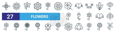 Illustration for Set of 27 outline web flowers icons such as garlic mustard, amaryllis, orchid, bluebell, pineweed, aster, fringed dianthus, bouvardia vector thin line icons for web design, mobile app. - Royalty Free Image