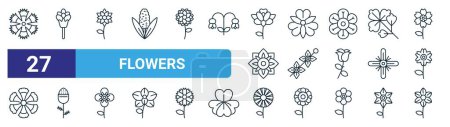 Ilustración de Conjunto de 27 contorno web flores iconos como dianthus, flores de cebollino, lirio tigre, alstroemeria, delphinium, pineweed, aster, freesia vector delgada línea iconos para el diseño web, aplicación móvil. - Imagen libre de derechos