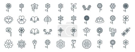 Illustration for Set of 40 outline web flowers icons such as tiger lily, lotus flower, bird of paradise, alstroemeria, chamomile, dandelion, bouvardia icons for report, presentation, diagram, web design, mobile app - Royalty Free Image