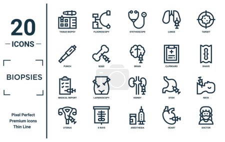 Téléchargez les illustrations : Biopsies ensemble d'icônes linéaires. comprend biopsie de tissu de ligne mince, poinçon, rapport médical, utérus, médecin, cerveau, icônes de cou pour rapport, présentation, diagramme, conception de site Web - en licence libre de droit