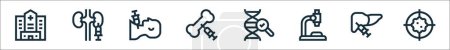 esquema conjunto de biopsias línea iconos. iconos vectoriales lineales como hospital, riñón, cuello, hueso, ADN, microscopio, hígado, blanco