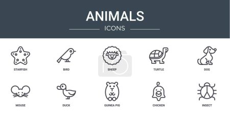 set of 10 outline web animals icons such as starfish, bird, sheep, turtle, dog, mouse, duck vector icons for report, presentation, diagram, web design, mobile app