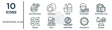 Ernährungsplan umreißt Symbolset wie dünne Linie schlechtes Cholesterin, Wasser, Ernährungsplan, Skala, Fetttröpfchen, Balance, Proteinsymbole für Bericht, Präsentation, Diagramm, Webdesign
