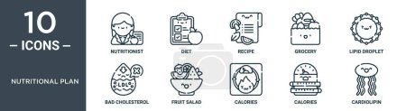 Ernährungsplan umreißt Symbolset enthält dünne Linie Ernährungsberater, Ernährung, Rezept, Lebensmittelgeschäft, Fetttröpfchen, schlechtes Cholesterin, Obstsalat Symbole für Bericht, Präsentation, Diagramm, Webdesign