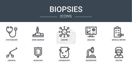 set of 10 outline web biopsies icons such as stethoscope, bone marrow, cancer, analysis, medical report, cervical, blood bag vector icons for report, presentation, diagram, web design, mobile app