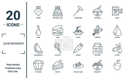 gastronomy linear icon set. includes thin line turnip, pear, watermelon, popcorn, , pasta, olives icons for report, presentation, diagram, web design