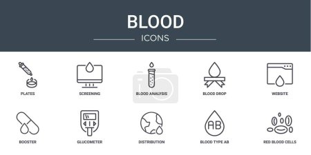 set of 10 outline web blood icons such as plates, screening, blood analysis, blood drop, website, booster, glucometer vector icons for report, presentation, diagram, web design, mobile app