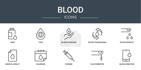 set of 10 outline web blood icons such as iron, type, blood donation, blood transfusion, droplet, medical result, calendar vector icons for report, presentation, diagram, web design, mobile app