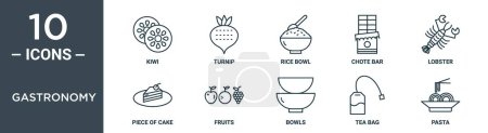 gastronomy outline icon set includes thin line kiwi, turnip, rice bowl, chote bar, lobster, piece of cake, fruits icons for report, presentation, diagram, web design