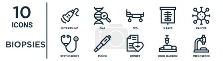 conjunto de iconos de esquema de biopsias como ultrasonido de línea fina, cama, cáncer, punzón, médula ósea, microscopio, iconos de estetoscopio para informe, presentación, diagrama, diseño web