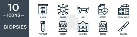 Téléchargez les illustrations : Ensemble d'icônes de contour de biopsies comprend les rayons X de ligne mince, cancer, lit, rapport, biopsie tissulaire, éprouvette, icônes de médecin pour le rapport, présentation, diagramme, conception de site Web - en licence libre de droit