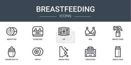 set of 10 outline web breastfeeding icons such as breast pad, sterilizer, ice, bra, breast pump, feeding bottle, nipple vector icons for report, presentation, diagram, web design, mobile app