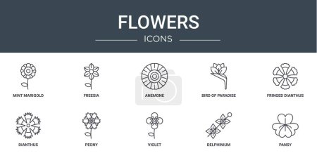 Illustration for Set of 10 outline web flowers icons such as mint marigold, freesia, anemone, bird of paradise, fringed dianthus, dianthus, peony vector icons for report, presentation, diagram, web design, mobile - Royalty Free Image