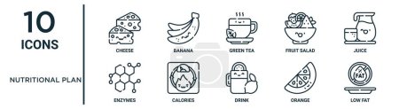 Ernährungsplan umreißt Symbolset wie dünne Linie Käse, grüner Tee, Saft, Kalorien, Orange, wenig Fett, Enzyme Symbole für Bericht, Präsentation, Diagramm, Webdesign