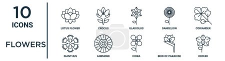 Ilustración de Conjunto de iconos de esquema de flores como flor de loto de línea fina, gladiolo, cilantro, anémona, ave del paraíso, orquídea, iconos de dianthus para informe, presentación, diagrama, diseño web - Imagen libre de derechos
