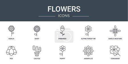 set of 10 outline web flowers icons such as dahlia, daisy, pineweed, alpine forget me not, garlic mustard, pea, cactus vector icons for report, presentation, diagram, web design, mobile app