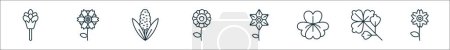 Ilustración de Esquema conjunto de flores línea iconos. iconos vectoriales lineales como flores de cebollino, peonía, jacinto, menta caléndula, gladiolo, pansy, cilantro, flor de cerezo - Imagen libre de derechos