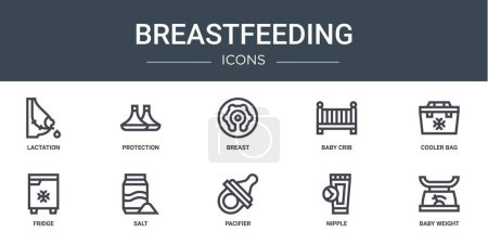 set of 10 outline web breastfeeding icons such as lactation, protection, breast, baby crib, cooler bag, fridge, salt vector icons for report, presentation, diagram, web design, mobile app